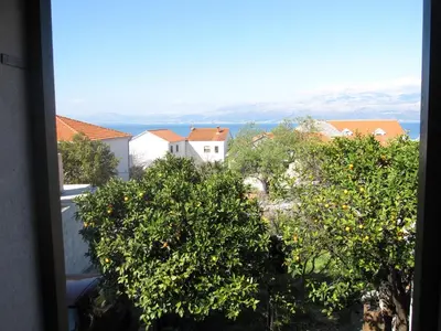 Priroda u blizini apartmana