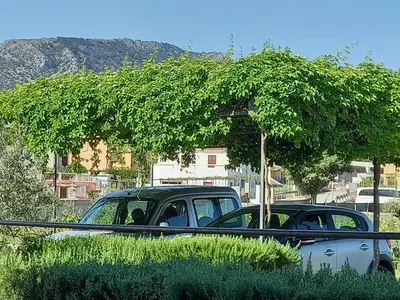 Pogled na planine ili pogled na planine iz apartmana