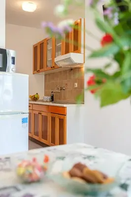 Kuhinja ili čajna kuhinja u objektu Apartman Mirna