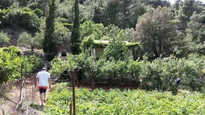 Gosti u objektu Secluded house with a parking space Postira, Brac - 22203