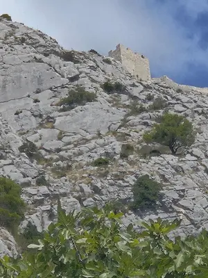 Priroda u blizini apartmana
