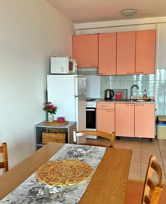 Kuhinja ili čajna kuhinja u objektu Apartman Milica Vila Roing