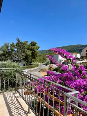 Priroda u blizini apartmana