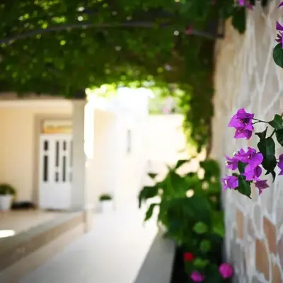 Hvar Villa Malisko Apartments
