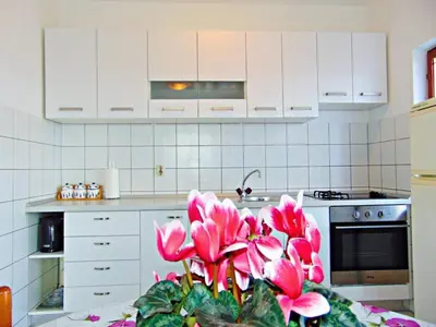 Kuhinja ili čajna kuhinja u objektu Apartments by the sea Postira, Brac - 22200