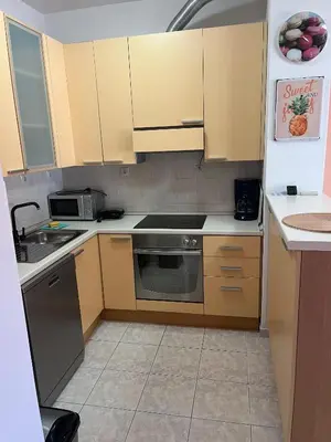Kuhinja ili čajna kuhinja u objektu Apartments Lea