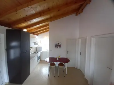 Kuhinja ili čajna kuhinja u objektu Marina Zuti Apartman