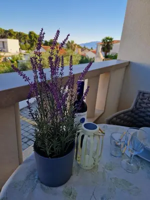 Balkon ili terasa u objektu Apartman Stivanka
