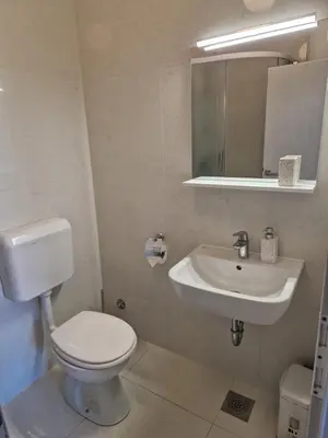 Kupaonica u objektu Apartman Stivanka