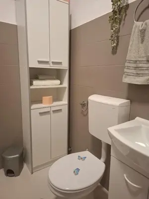 Kupaonica u objektu Apartman Sandra