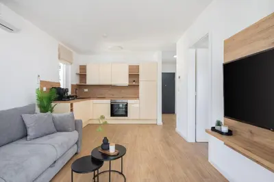 Kuhinja ili čajna kuhinja u objektu Dada Luxury Apartment A1