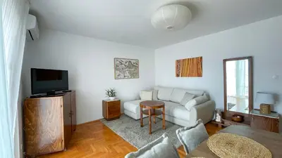 TV i/ili zabavni centar u objektu Vintage apartment
