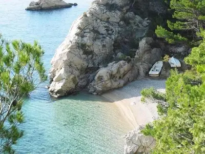 Priroda u blizini apartmana