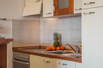 Kuhinja ili čajna kuhinja u objektu Apartments Royal Residence