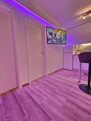 TV i/ili zabavni centar u objektu Rita Apartments