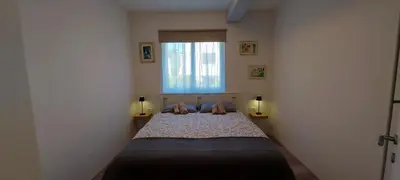 Krevet ili kreveti u jedinici u objektu Apartman Solenta