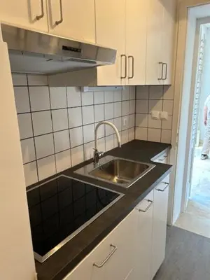 Kuhinja ili čajna kuhinja u objektu Villa Antonia
