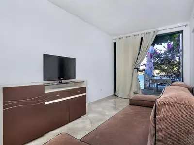 TV i/ili zabavni centar u objektu Apartment Rubin-3 by Interhome