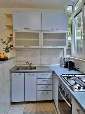 Kuhinja ili čajna kuhinja u objektu Apartment Anka