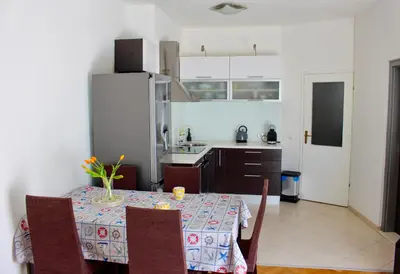 Kuhinja ili čajna kuhinja u objektu Apartment Zen