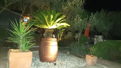 Vrt u objektu House Oliva with private pool and large garden