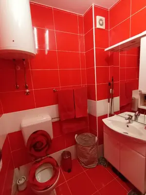 Kupaonica u objektu Apartman Fanita