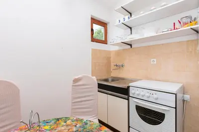 Kuhinja ili čajna kuhinja u objektu Apartments Andi