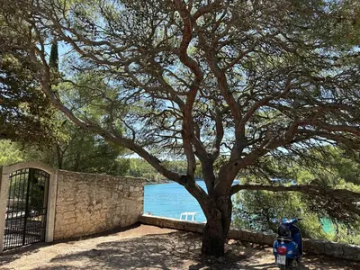 Priroda u blizini apartmana