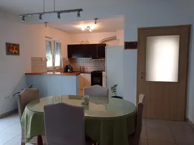 Kuhinja ili čajna kuhinja u objektu Apartman Ivana