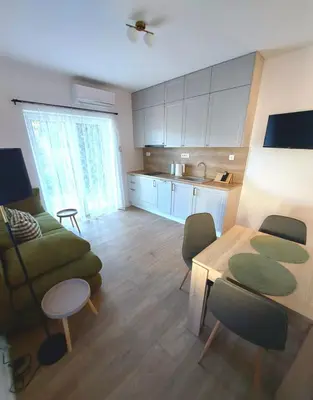 Kuhinja ili čajna kuhinja u objektu Apartman Villeto