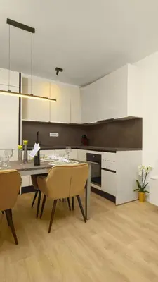 Kuhinja ili čajna kuhinja u objektu Villa BILA - Apartment Mari