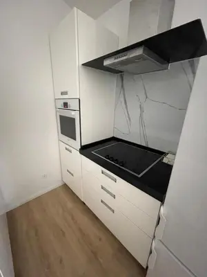 Kuhinja ili čajna kuhinja u objektu Apartman V