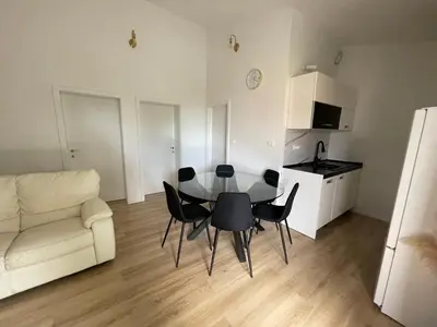 Kuhinja ili čajna kuhinja u objektu Apartman V