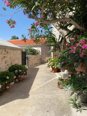 Vrt u objektu Villa Rosa, Dracevica 46a, Brac