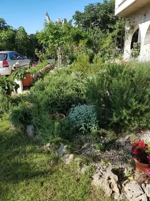 Vrt u objektu Nice studio apartment in picturesque village