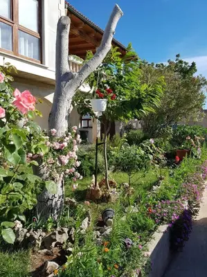 Vrt u objektu Nice studio apartment in picturesque village