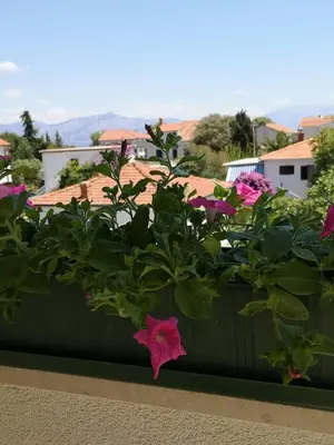 Priroda u blizini apartmana