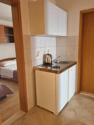 Kuhinja ili čajna kuhinja u objektu Studio apartman Leon 4