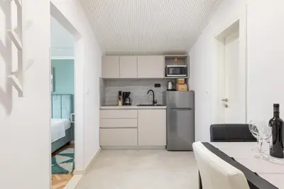Kuhinja ili čajna kuhinja u objektu Villa Mirjana, studio apartment
