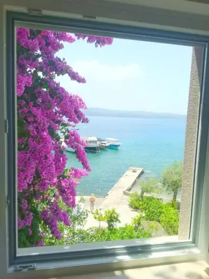 Priroda u blizini apartmana