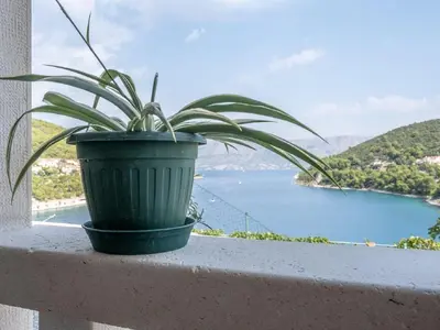 Priroda u blizini apartmana