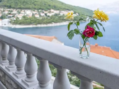 Priroda u blizini apartmana
