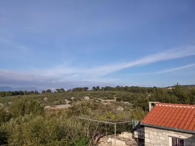 Priroda u blizini vikendica