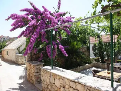 Vrt u objektu Apartments Paloc - Bungalow with Garden view