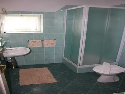 Kupaonica u objektu Apartments Paloc - Bungalow with Garden view