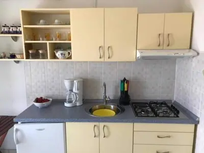 Kuhinja ili čajna kuhinja u objektu Apartments Paloc - One-Bedroom Apartment with Balcony Zeleni