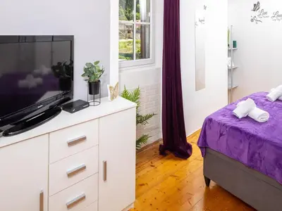 TV i/ili zabavni centar u objektu Apartments Vela Stiniva - Two Bedroom Apartment with Sea View and Terrace