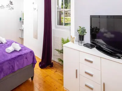 TV i/ili zabavni centar u objektu Apartments Vela Stiniva - Two Bedroom Apartment with Sea View and Terrace