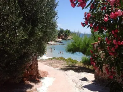 Priroda u blizini apartmana