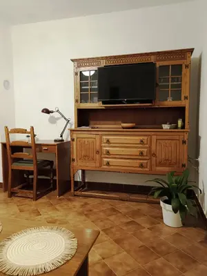 TV i/ili zabavni centar u objektu Apartments Villa Vanja